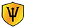 Triton Surveillance